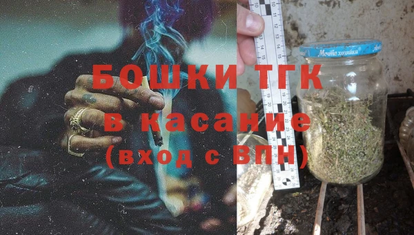 молекула духа Аркадак