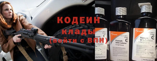 амф Арсеньев